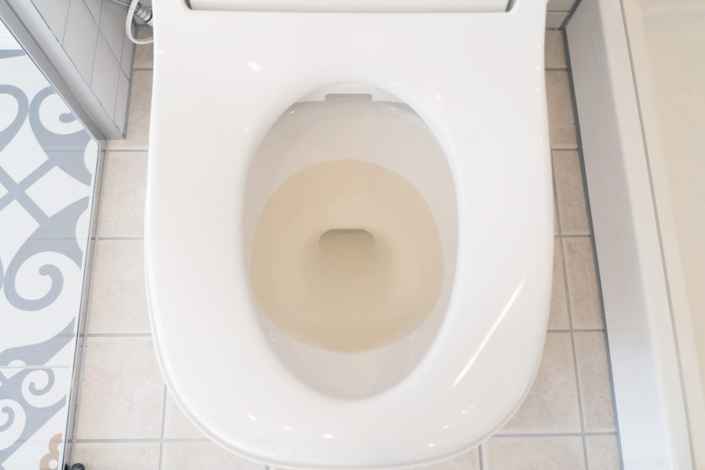 トイレにスマホやガラケーが落ちた時の対処法とは？